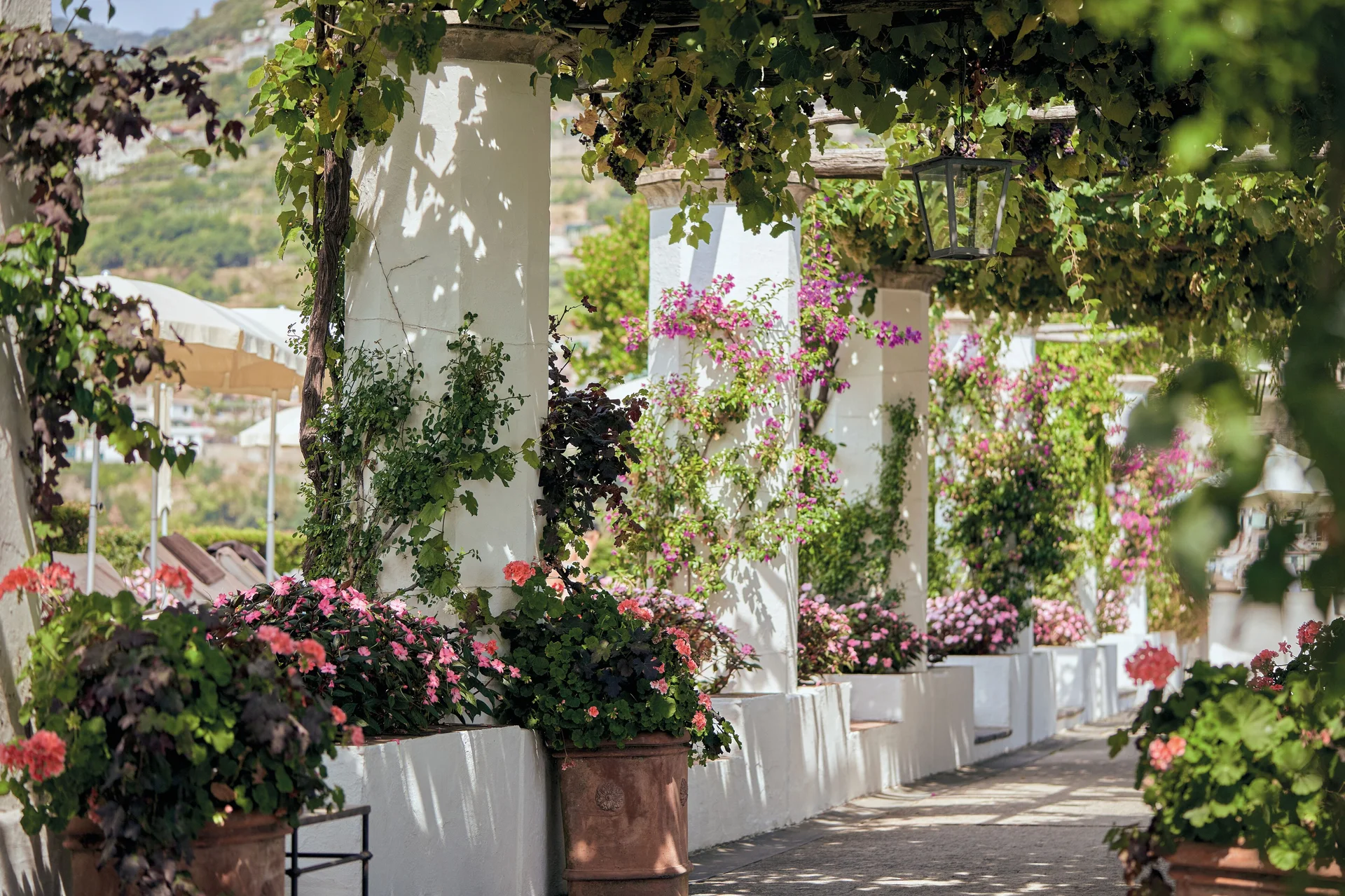 Caruso exterior gardens